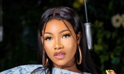 BBNaija All Stars: Tacha, 2 others react as Biggie unveils new ...