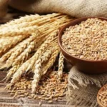 Nigeria imports more wheat than it produces - Expert
