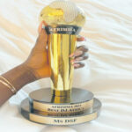 Ms Dsf