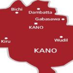 adulterated sesame seeds, CSO situation room, Kano LG election, Kano LG classrooms,NGOs, partners brainstorm on women’s economic empowerment in Kano