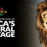 Wild Africa
