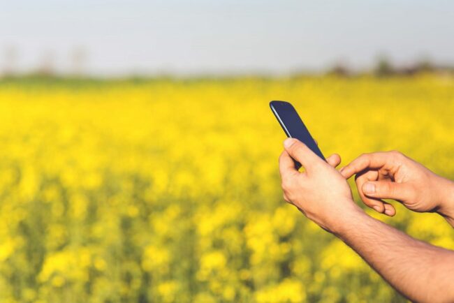 agripreneurship development