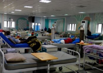 Experts call for more investment in health sector, end to quackery
