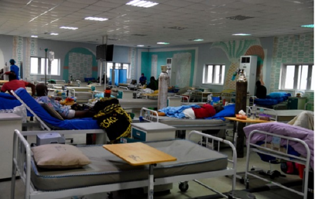 Experts call for more investment in health sector, end to quackery