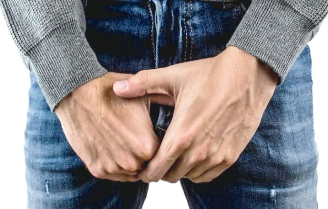 genitals