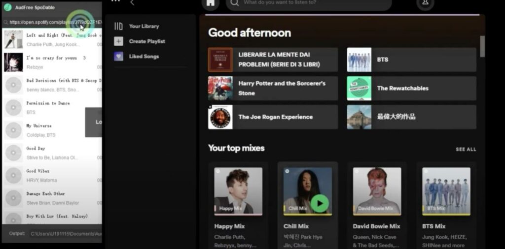 Audfree Spotify