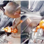 palm oil engine