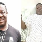 Mr Ibu