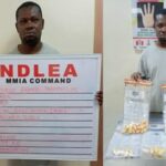 NDLEA Arrests Theophilus