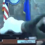 convict attacked Judge in US