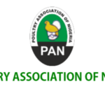 Production cost crisis PAN requests licence to import Oyo poultry farmers seek Gov Makinde's intervention on slaughter levies