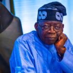 Reform Judiciary, Creation of livestock ministry waste of resources, diaspora group tells Tinubu