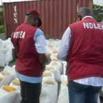 cocaine at Abuja airport, NDLEA arrests 198 drug suspects at graveyard, joints in Kano,
