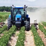 Nigeria needs technology for food security — Agro-Industry Expert