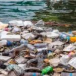 Plastic pollution