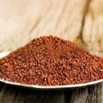 eating lots of sorghum