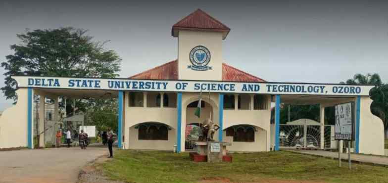 Delta State University of Science and Technology