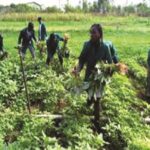 Why farmers should stop using chemicals