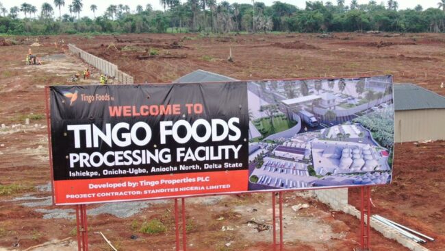 Food processing firm to provide 12, 000 direct jobs for Nigerians