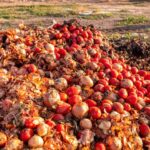 Hardship: Economists advocate massive investment in food processing, storage
