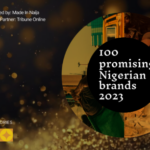 Made in Naija 100 most promising Nigerian brands