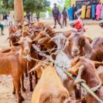 Zamfara,
