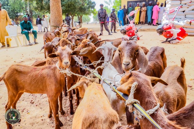 Zamfara,