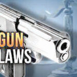 Guns for everyone
