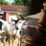 Benue Security Advisers insist on full enforcement of anti-open grazing laws