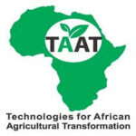 How TAAT private sector engagement is transforming wheat TAAT