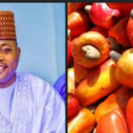 Kogi cashew farmers