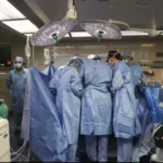 US surgeons successfully transplant pig kidney into patient