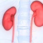 KIDNEY