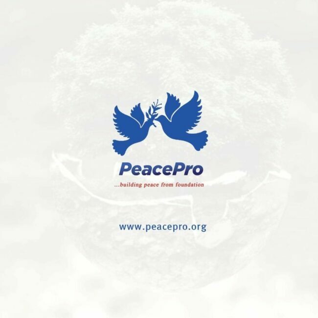 NYCN PeacePro