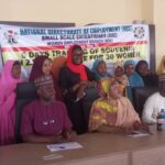 NDE trains 50 women on souvenir, tie-dye production in Zamfara
