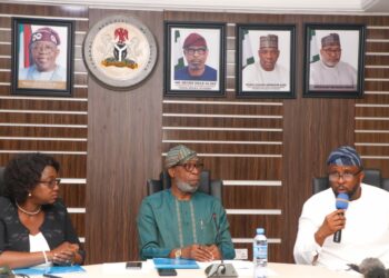 FG will prevent mining licenses acquisition without local value addition — Alake
