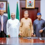 NSIA, NSP sign agreement to set up Shiroro solar generating company