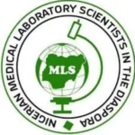 Nigerian lab scientists in diaspora seek solution to brain drain, medical tourism