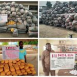 NDLEA seizes 44,948kg drugs, 11 vehicles in Lagos, Edo, Ondo
