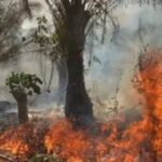 fire destroys