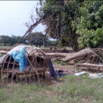 Remains of six slain cops recovered in Delta forest