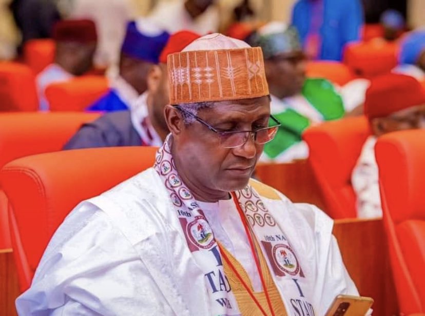 Northern senators name Yar’Adua as Ningi’s replacement