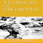 Book review Omeke’s guide