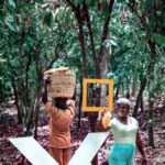 AFEX launches impact report, indicates increased focus on climate interventions