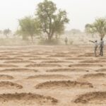 Nigeria to restore 4 million hectares of degraded lands for agriculture