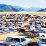 Behold 50-year-old car graveyard where Rolls Royces Cardillacs Fords