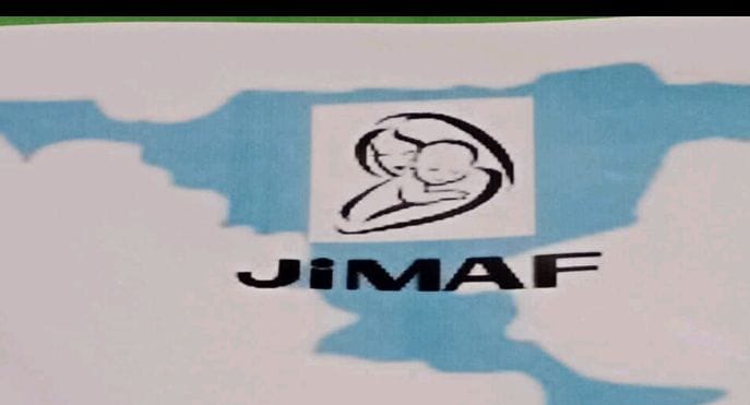 jigawa healthcare, Group appeals for release of N1bn for basic healthcare in Jigawa