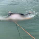Third Mainland Bridge: Police recover body of drowned male passenger