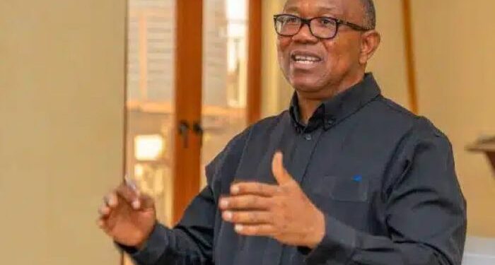 Peter Obi to FG: Hike in electricity tariff unnecessary now