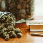 Germany's legalisation of cannabis 
